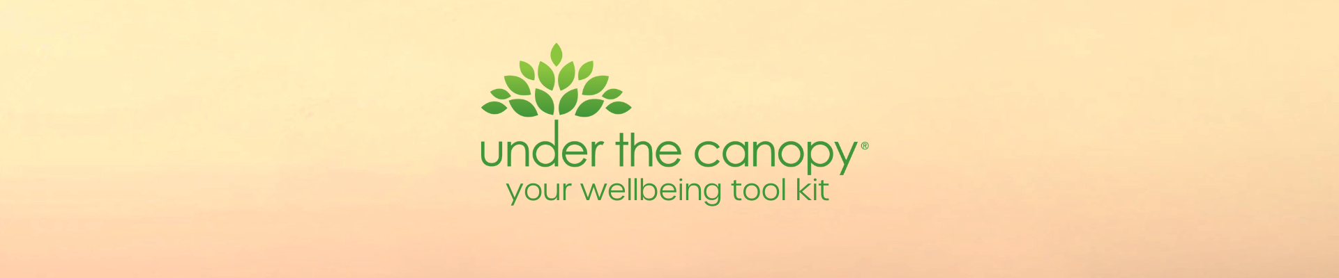 Under the Canopy